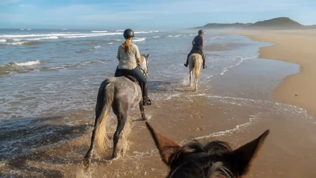 Horseback ride on Agadir beach